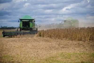 notícia: Adepará alerta para final do prazo de cadastramento de áreas de cultivo de soja