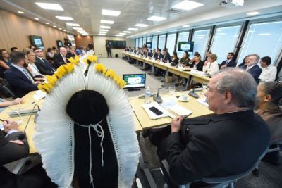 notícia: Governo do Pará participa do retorno do Comitê Orientador do Fundo Amazônia