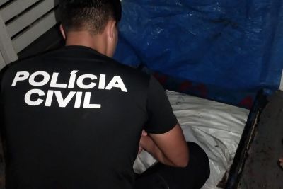 notícia: Operação apreende 1 tonelada de pescado e prende o responsável pela carga, no Marajó