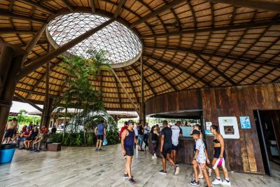 notícia: Ideflor-Bio mantém fechamento preventivo das trilhas ecológicas do Parque do Utinga