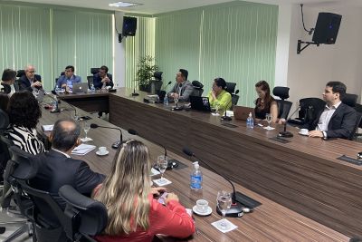 notícia: Semas e Ministério do Meio Ambiente definem estratégias de combate à degradação florestal