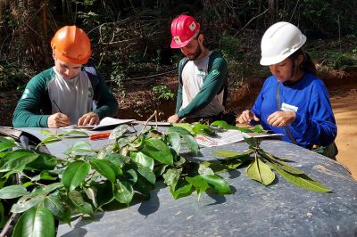 notícia: Ideflor-Bio destaca o protagonismo das mulheres na preservação dos recursos naturais