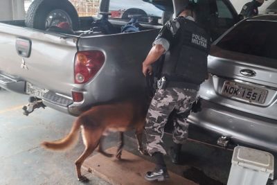 notícia: Cão farejador da PM localiza 15 quilos de entorpecentes em embarcação