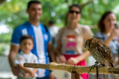 notícia: Programação no Mangal das Garças terá oficina de pintura, recreação e educação ambiental