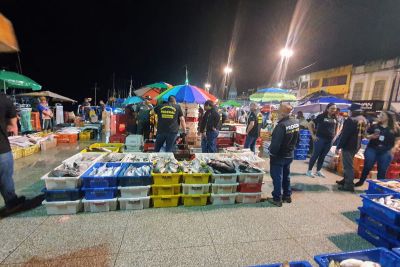 notícia: Adepará inicia fiscalização para garantir abastecimento de pescado na Semana Santa