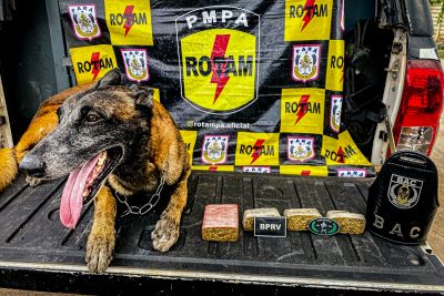 notícia: Operação "Esparavel" prende suspeito de tráfico de drogas em Igarapé-Miri