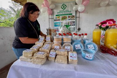 notícia: Programação para mulheres agricultoras e artesãs incentiva o empreendedorismo feminino