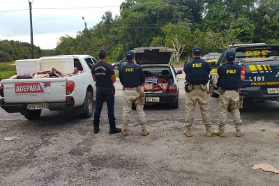 notícia: Adepará apreende mais de uma tonelada de carne clandestina em ação conjunta com a PRF 