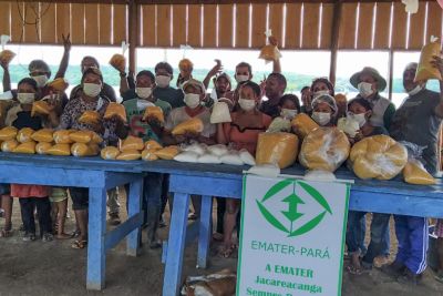 notícia: Mais de 650 indígenas em todo o Pará recebem atendimento da Emater