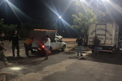 notícia: Adepará apreende 18 toneladas de pescado transportado irregularmente