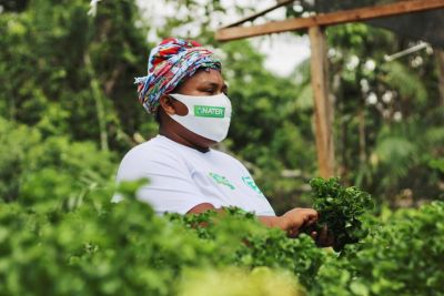 notícia: Emater aumenta atendimentos a municípios com territórios quilombolas no Pará