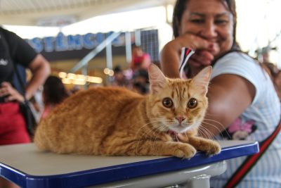 notícia: Usinas da Paz da Cabanagem e do Bengui recebem o programa "Pará Pet" nesta quarta (5) e quinta (6)