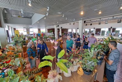 notícia: Mini Festival do Chocolate, Flores e Joias da Amazônia é sucesso de público