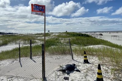notícia: Ideflor-Bio e órgãos de segurança concluem operação de bloqueio na Praia do Atalaia