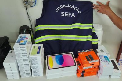 notícia: Fiscalização da Sefa apreende carga de eletrônicos e palmito no interior do Pará