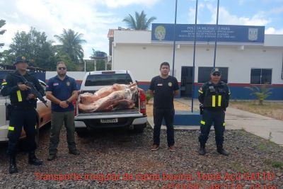 notícia: Fiscais agropecuários flagram 500 kg de carne transportados ilegalmente 