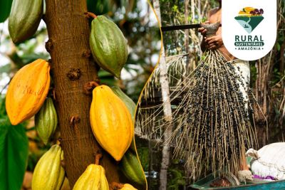 notícia: PRS-Amazônia abre inscrições para Organizações do Pará