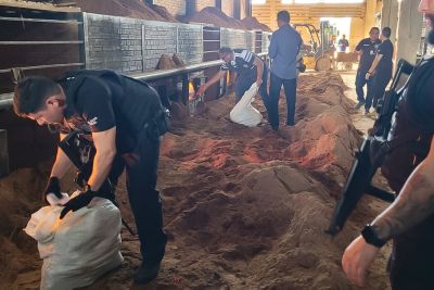 notícia: Polícia Civil incinera 150kg de entorpecentes apreendidos nos últimos 3 meses