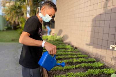 notícia: Hospital Geral de Tailândia aplica Hortoterapia no cuidado à saúde de pacientes internados