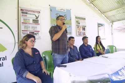 notícia: Pará começa vacinação contra febre aftosa em todas as regiões