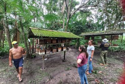 notícia: Sudeste recebe atividades do Programa Estadual de Saúde das Abelhas