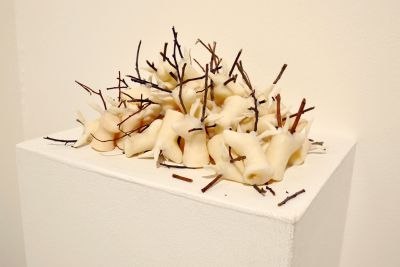 notícia: Exposição 'Permanência' traz obra premiada à Galeria Theodoro Braga