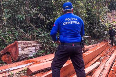 notícia: Análises periciais da Polícia Científica contribuem com 'Operação Curupira'