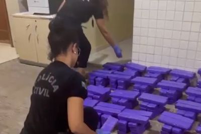 notícia: Mais de 300 kg de drogas são apreendidos pela Polícia Civil em Marabá