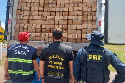 notícia: Sefa encaminha procedimentos fiscais para apreensão de nove toneladas de camarão 