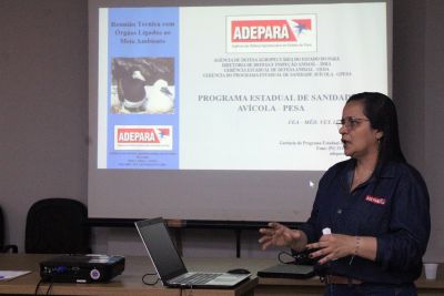 notícia: Adepará e instituições públicas e privadas debatem estratégias contra Influenza Aviária