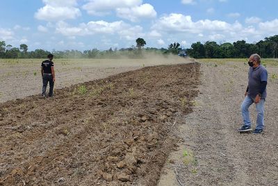 notícia: Vazio Sanitário da Soja: Adepará alerta para proibição de plantios para evitar praga