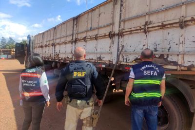 notícia: Sefa apreende 35 metros cúbicos de estacas no nordeste paraense