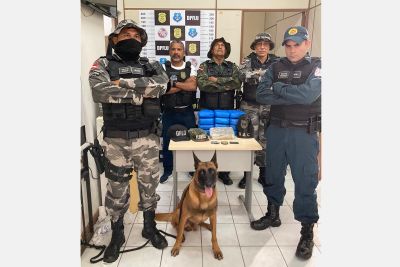 notícia: Órgãos de segurança apreendem 13 tabletes de drogas avaliadas em quase R$ 400 mil