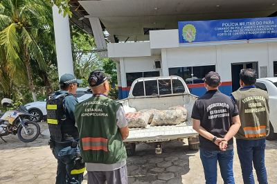 notícia: 300kg de peixes salgados são apreendidos pela Adepará em Moju