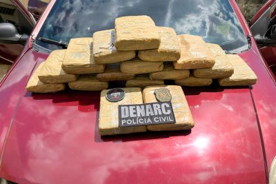 notícia: Ação rápida da Polícia Civil resulta em apreensão de 17 kg de skank em Marituba