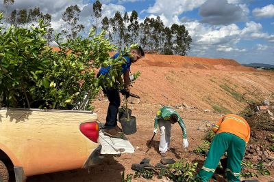 notícia: Adepará segue com ações para coibir o comércio clandestino de insumos