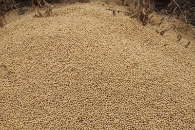 notícia: Sedap comprova aumento na exportação de produtos do agronegócio no Pará