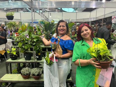 notícia: Flor Pará 2023 é vitrine para a diversidade da flora amazônica