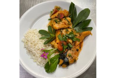 notícia: HGT promove capacitação sobre uso de plantas alimentícias não convencionais na alimentação hospitalar