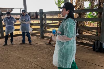 notícia: Adepará treina fiscais e agentes agropecuários para atuação na defesa sanitária animal 