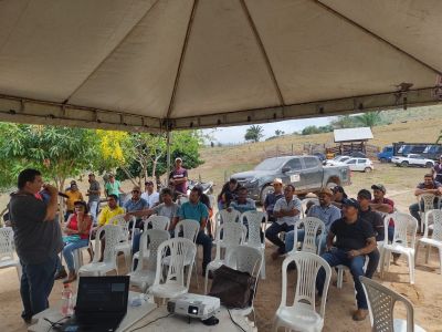 notícia: Curso ensina alimentação alternativa de bovinos para o período de estiagem