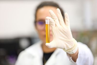 notícia: Recursos naturais e Ciência potencializam a bioeconomia no Pará