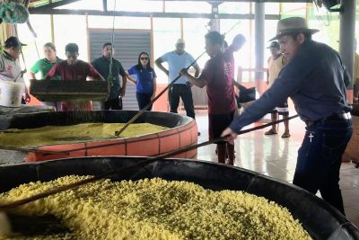 notícia: Adepará entrega certificado de registro para casa de farinha em Tracuateua