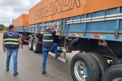 notícia: Mais de 147 toneladas de gergelim são apreendidas pela Sefa em Dom Eliseu 