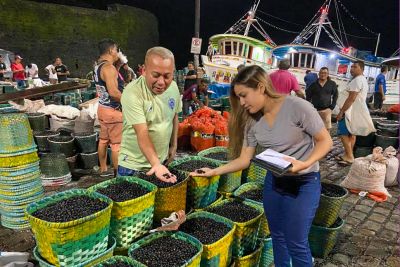 notícia: Pesquisa da Uepa destaca a necessidade da Indicação Geográfica do açaí de Cametá