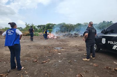 notícia: Mais de 800 kg de carne imprópria para consumo são apreendidos pela Adepará