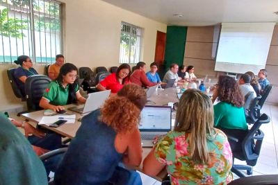 notícia: Servidores da Emater concluem treinamento sobre ferramenta de análise de dados