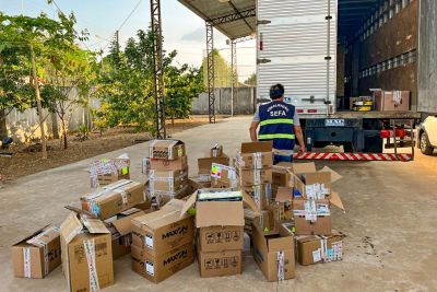 notícia: Sefa apreende R$ 60 mil em peças automotivas em São João do Araguaia