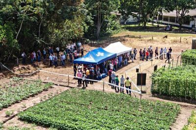 notícia: Emater beneficia agricultura familiar levando nova tecnologia na produção do feijão-caupi