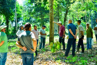 notícia: Ideflor-Bio integra formação do Imaflora para implementação do Currículo de Sustentabilidade do Cacau